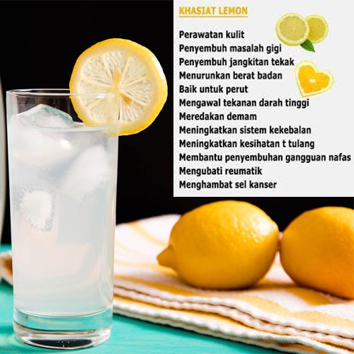 lemon pelangsing, sari lemon murni, Lemona diet, Pelangsing badan cepat dan ampuh, Lemona, Lemon