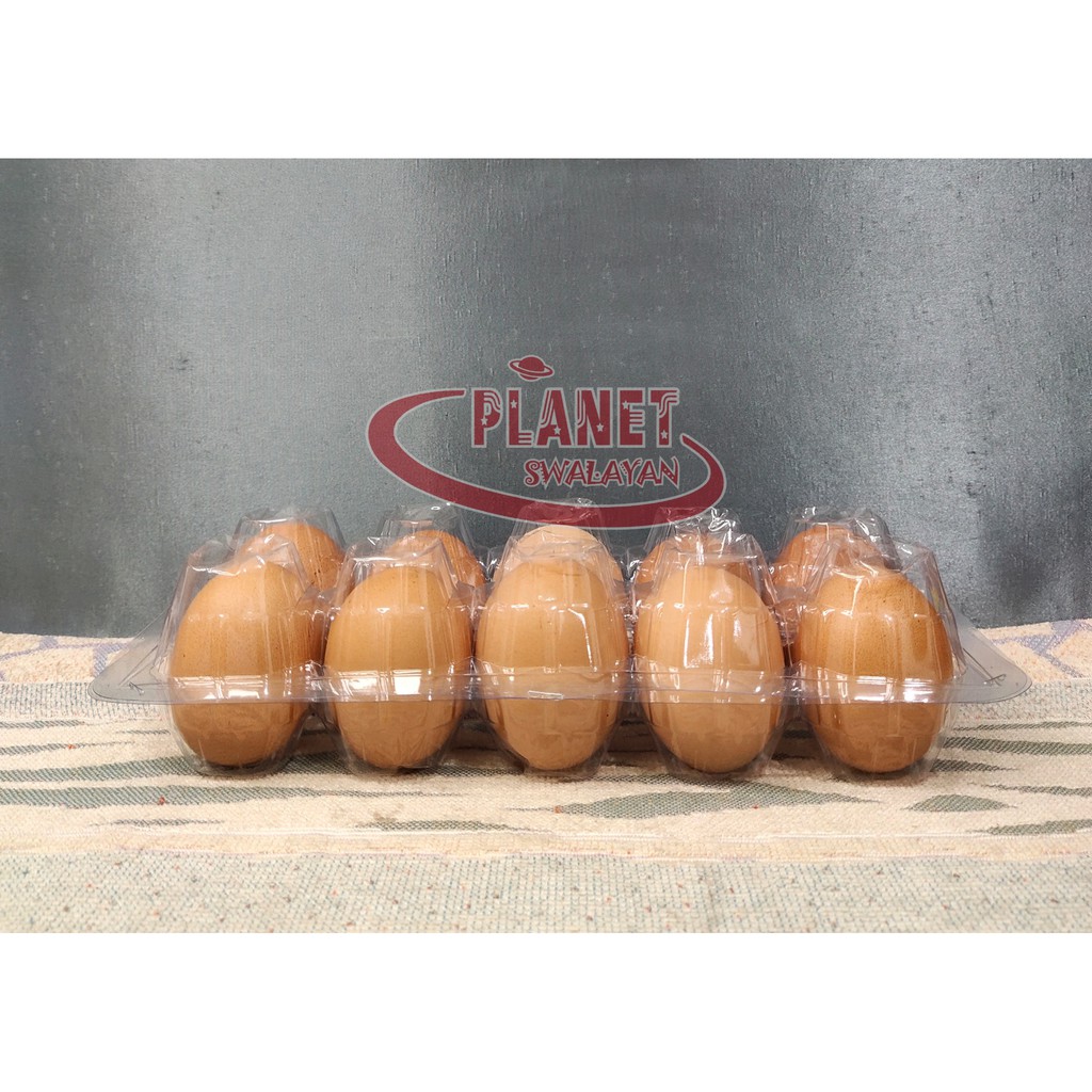 

TELUR AYAM