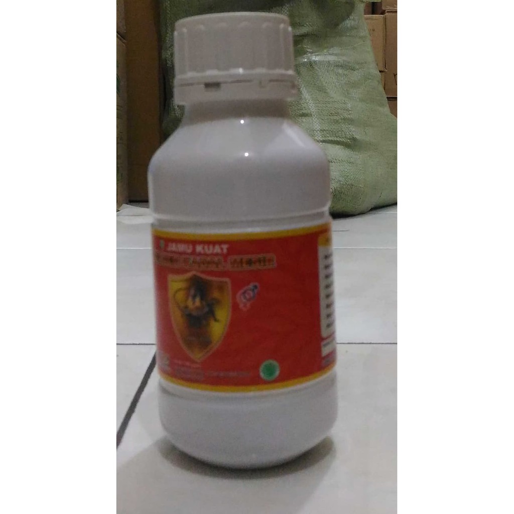 jamu kuat helbeh kadal mesir ready