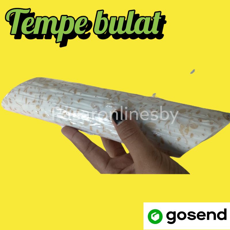 

Tempe Bulat padat