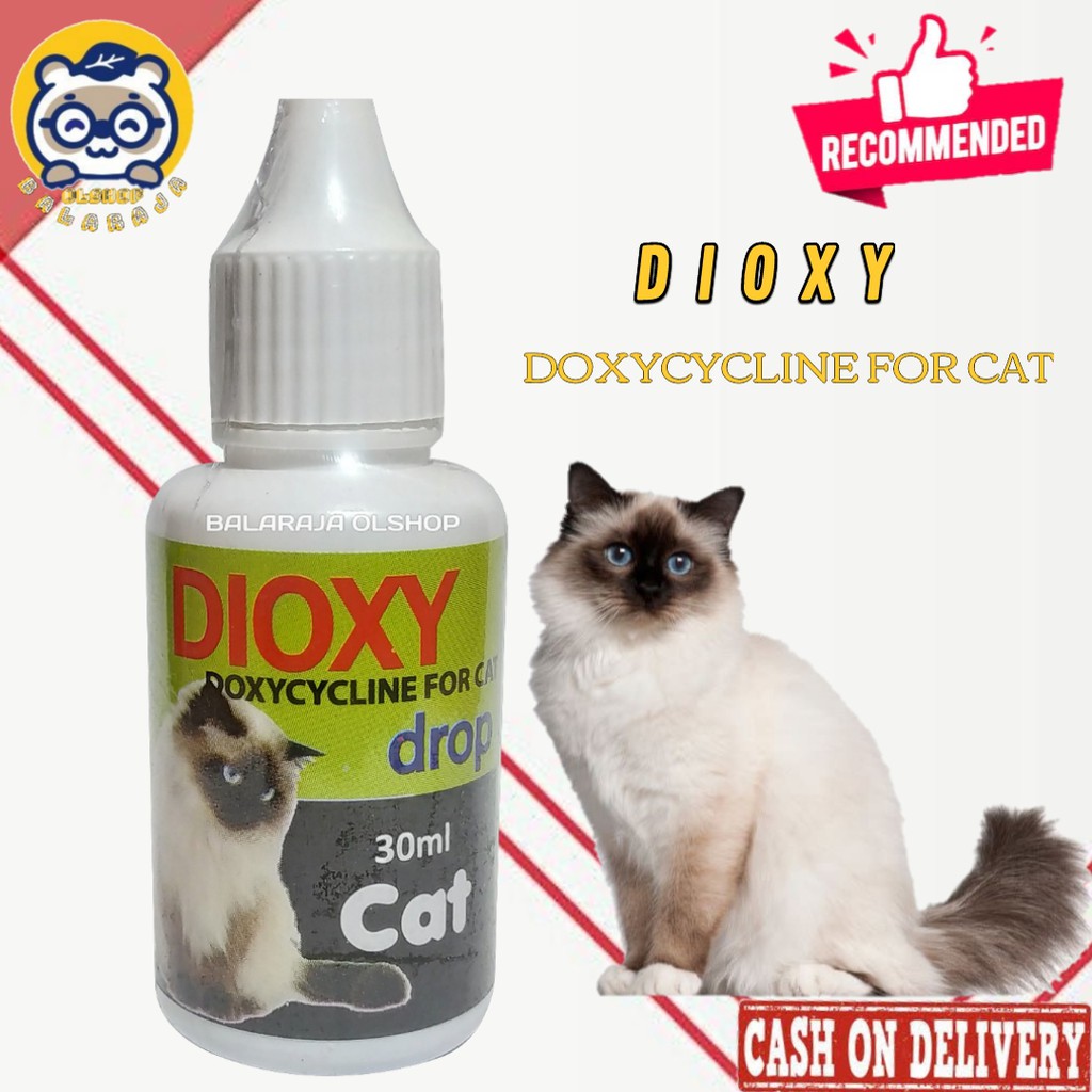 Antibiotik Dioxy Obat Kucing Sakit Diare Flu Pilek Demam Virus Bakteri