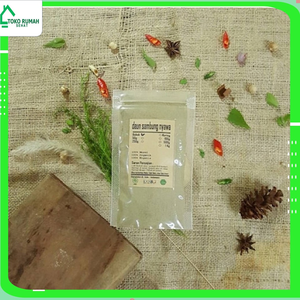 

DAUN SAMBUNG NYAWA BUBUK 100 GRAM - Gynura Procumbens - MURNI -