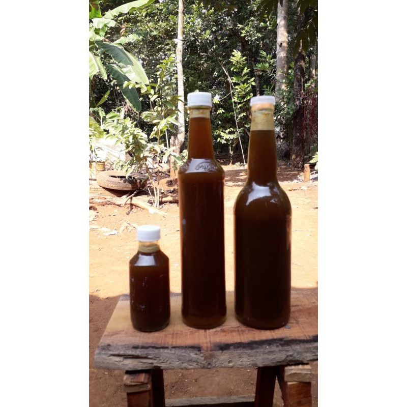 

madu klanceng 100% asli