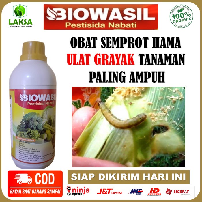 Pestisida BIOWASIL 500 ML Obat Semprot Hama Ulat Grayak Paling Ampuh - Obat Hama Ulat, Ulat Buah, Ul