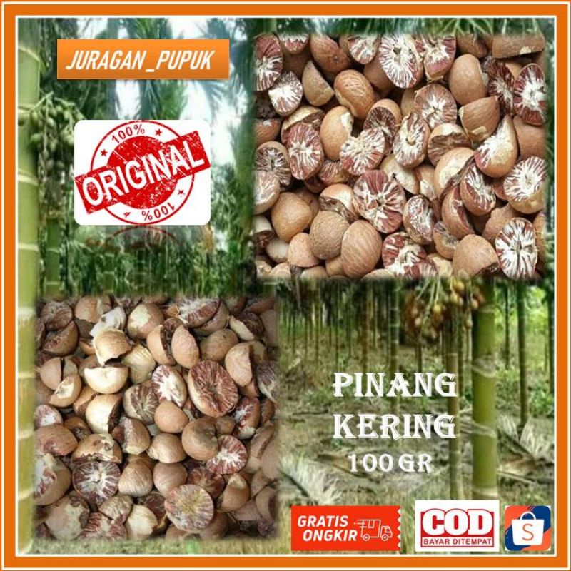 

Buah pinang kering belah dua