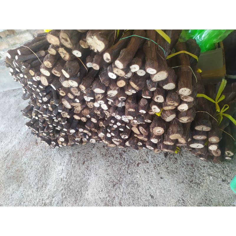 batang anggur alphonso fress