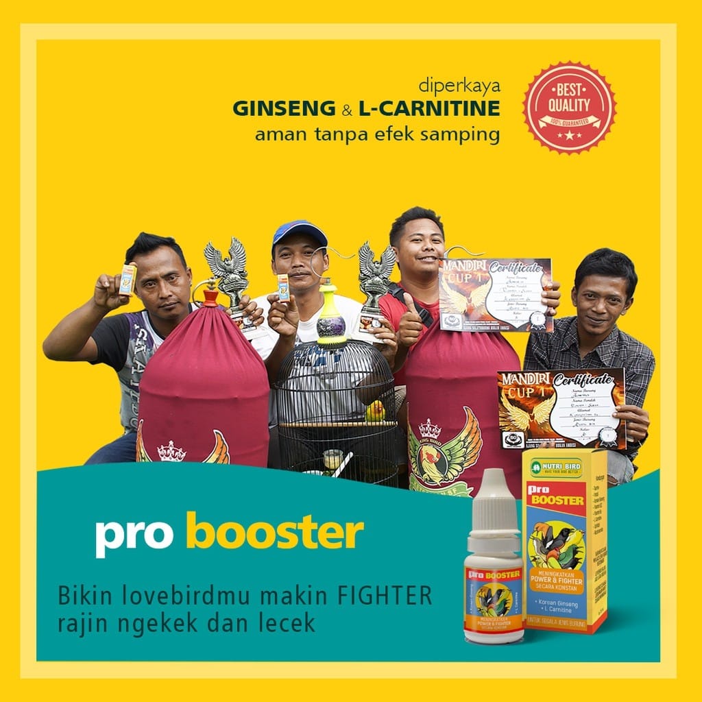 PRO BOOSTER Meningkatkan POWER dan FIGHTER Burungm