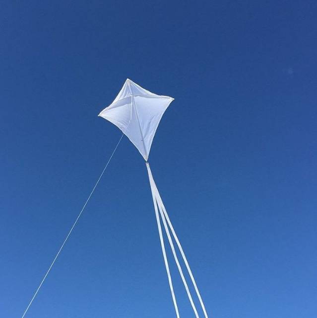 syalahudinlintang.171