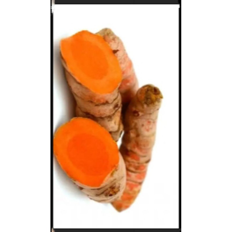 

Kunyit kuning segar 500 gram bisa(COD)