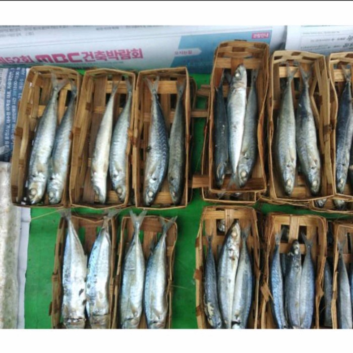 

CUE KERANJANG ( tongkol / Salem / kembung )