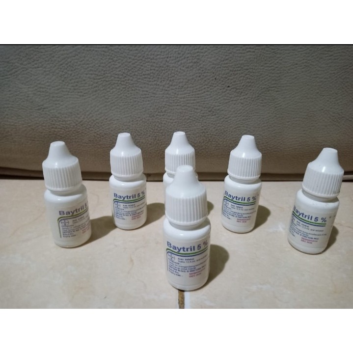 Baytril 5%- Obat pilek hewan