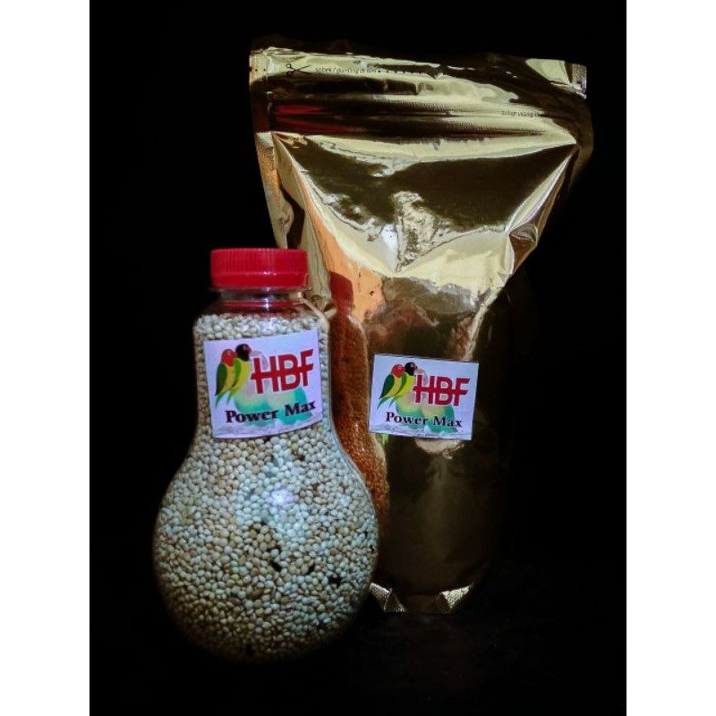 pakan lovebird fighter