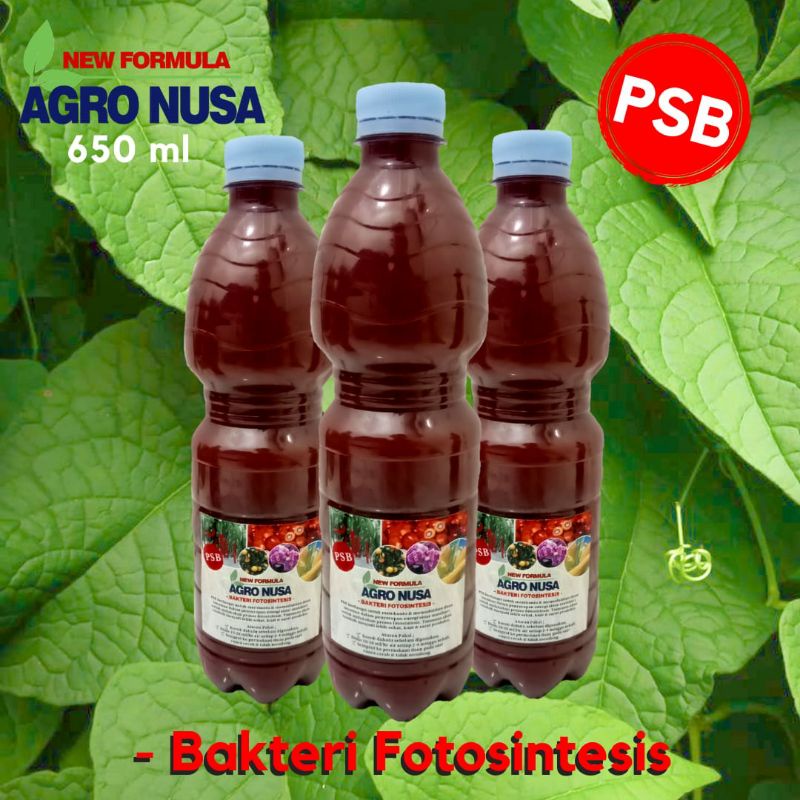 POC Bakteri Fotosintesis (PSB) 600 ml utk Pertanian, Peternakan & Perikanan.