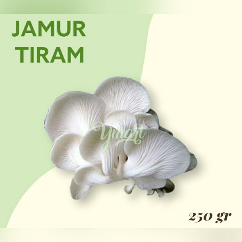 

Jamur Tiram 250gr