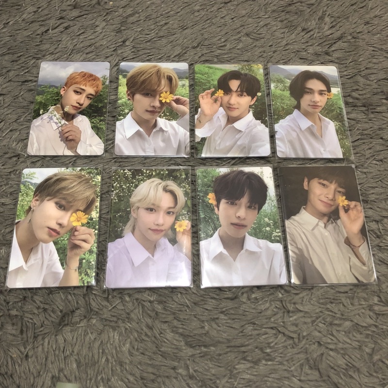 Stray kids limited no easy photocard pc official