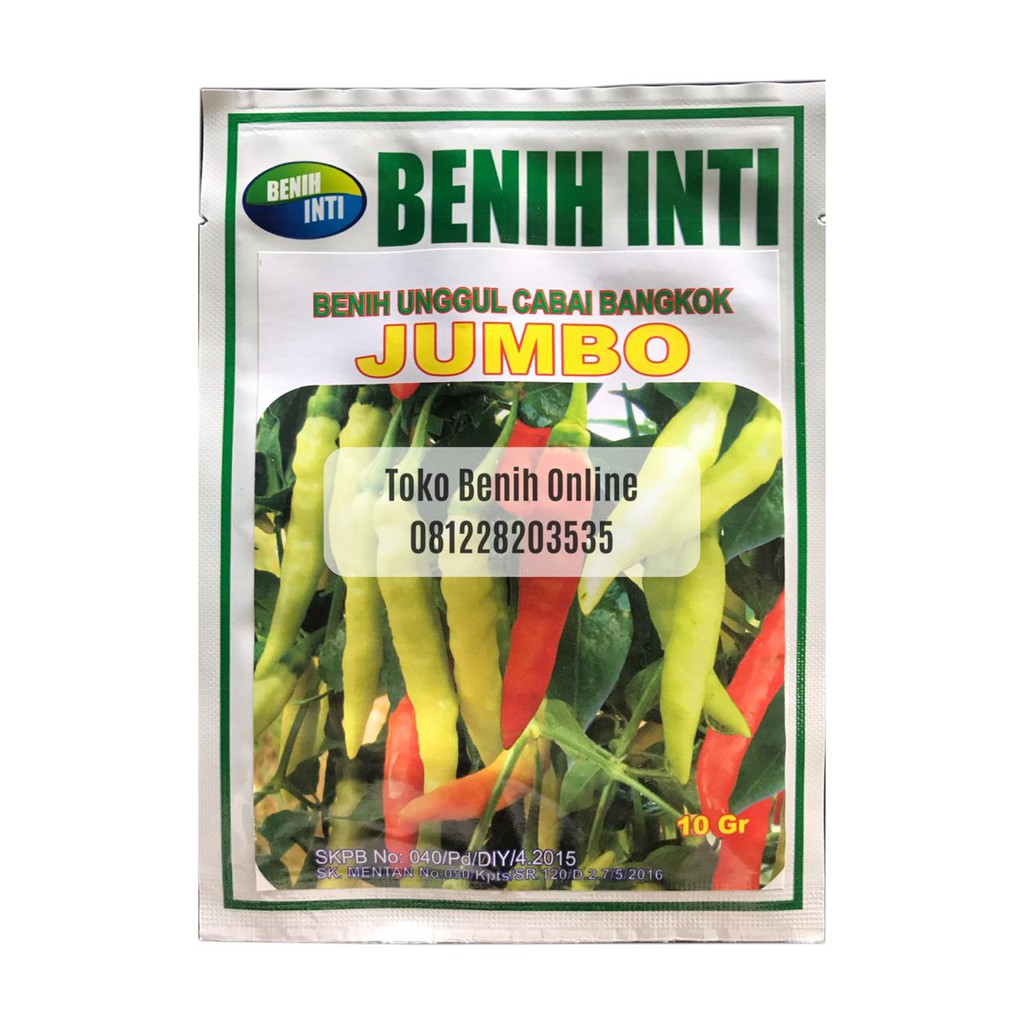 BENIH CABE RAWIT PUTIH - JUMBO - 10 gram - BENIH INTI - shypoon viral carika