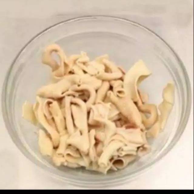 

Usus ayam