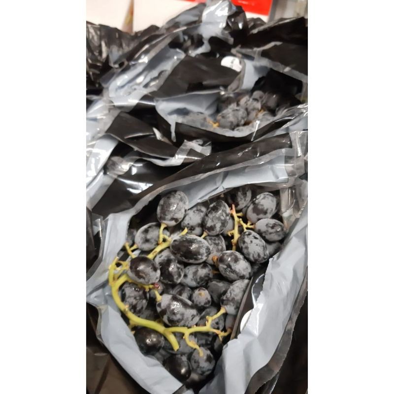 

Anggur hitam black autum seedles 500grm