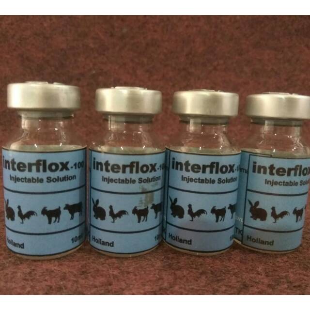 Interflox Obat Flu Kelinci / Hewan (Oral & Injeksi)