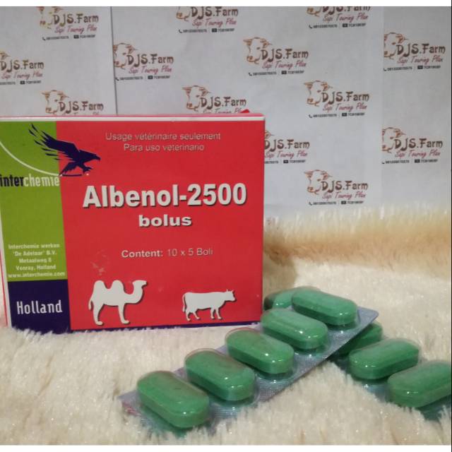  Obat  cacing  ampuh albenol 2500 untuk hewan ternak sapi 