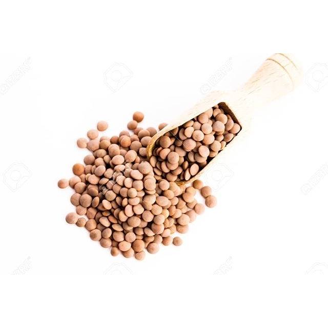 

Brown Lentil / Masor Sabat / Miju-Miju 500g