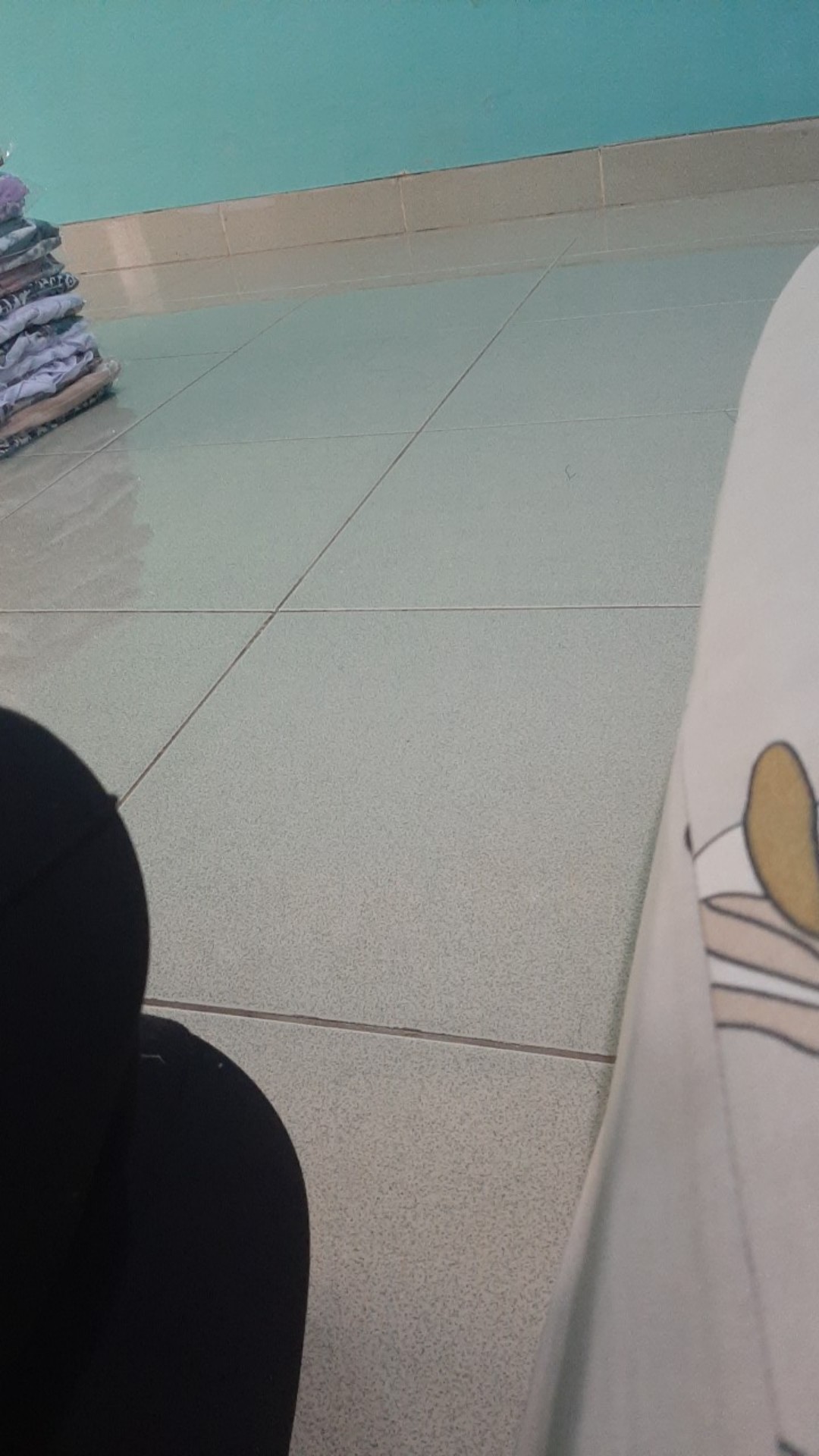 Handle Bathub 60cm Stainless / Pegangan Kamar Mandi