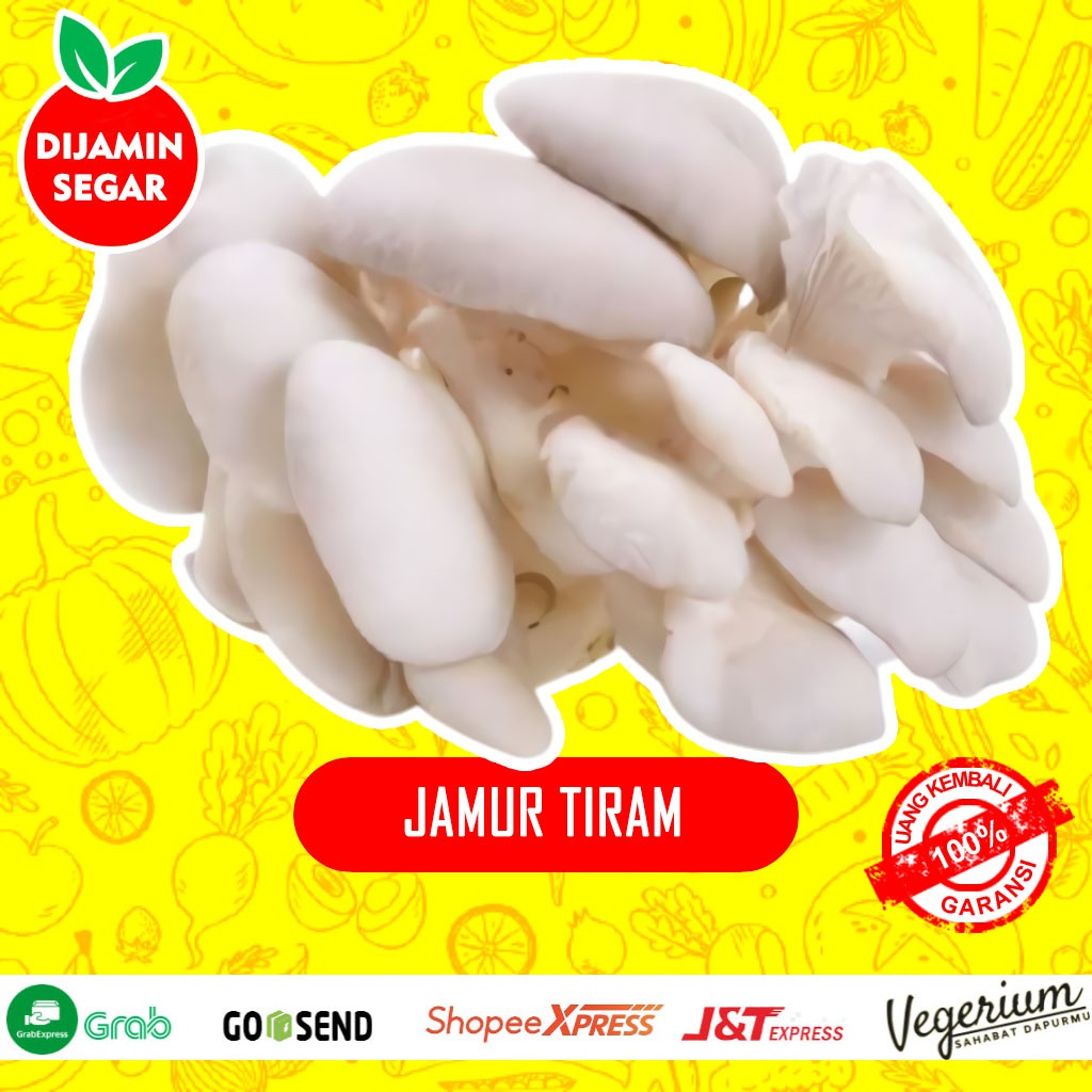 

Jamur Tiram Putih Sayur Sayuran Segar Fresh 250 Gram