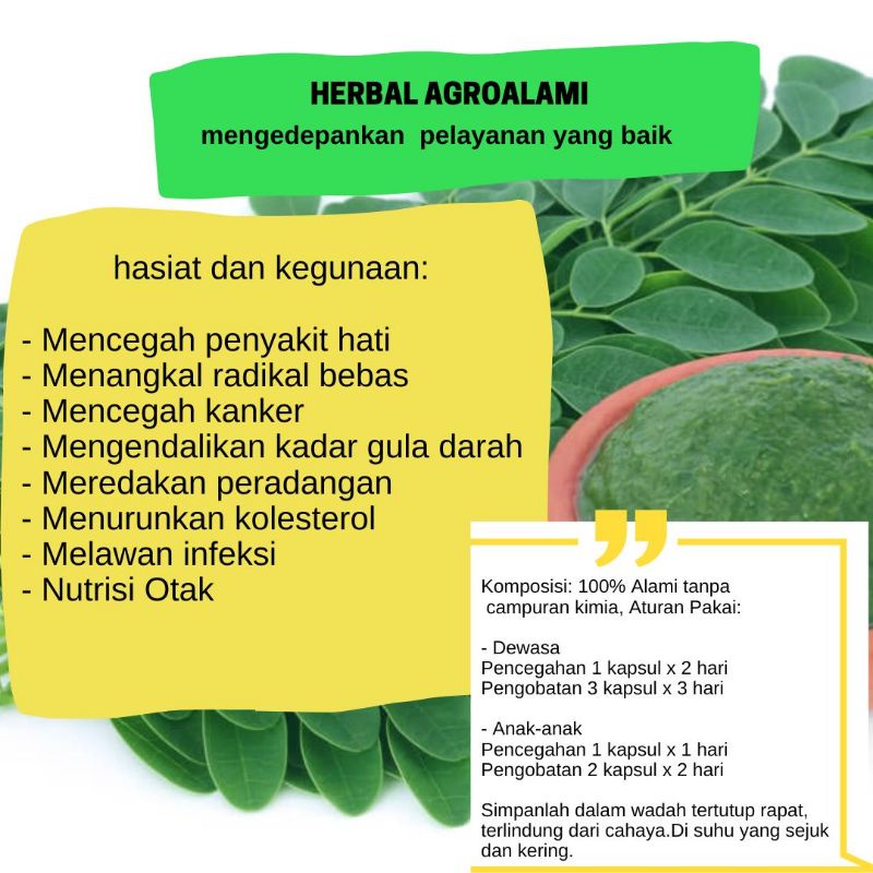 kapsul herbal daun kelor , jamu tradisional herbal daun kelor herbal