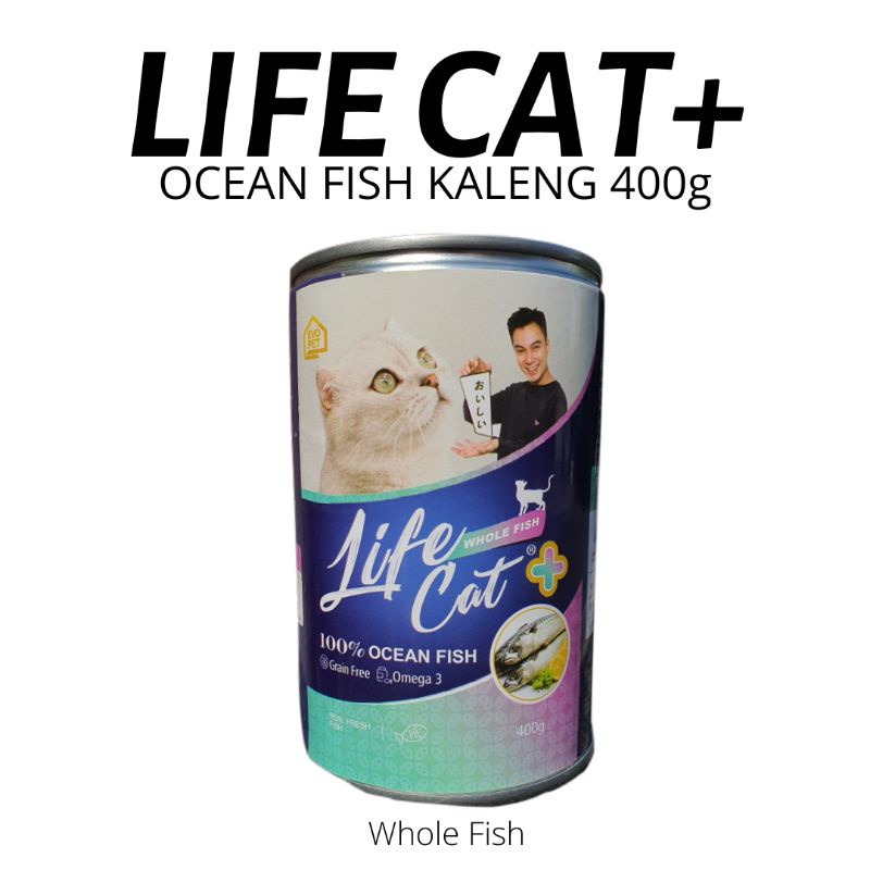 Petshop Bandung || Life Cat + Plus Ocean Fish Kaleng 400gr Whole Fish (Hijau Tosca Gradasi) - Makana