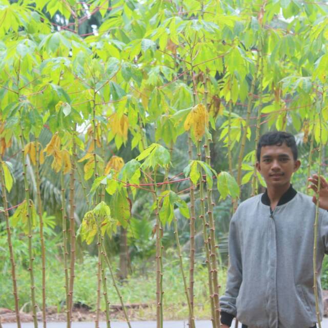 riyanpratama25092002