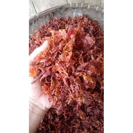 

bunga buah pala/ sempra pala/ fuli 100 gr
