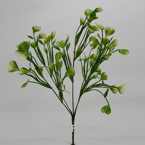 WANFLOWER Daun X5 * LOVE SNOW