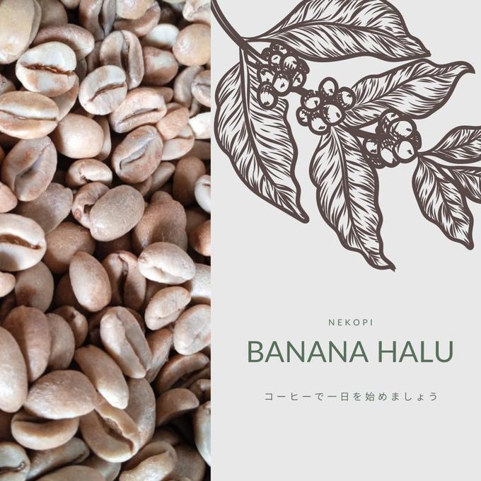 

Arabika Banana Halu || Green Bean Arabica Banana Halu 1 KG