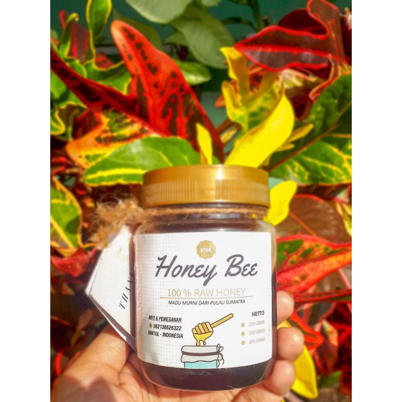 

Madu Asli Hutan Sumatra (Raw Honey) 200gram