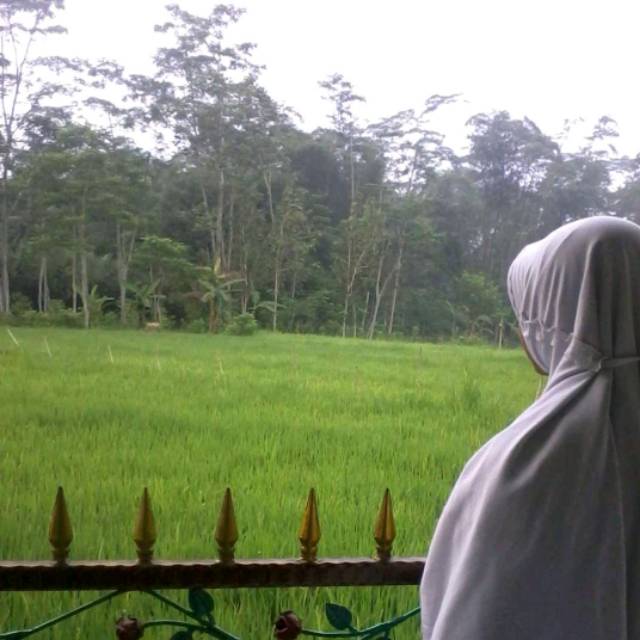 aristy.syakib