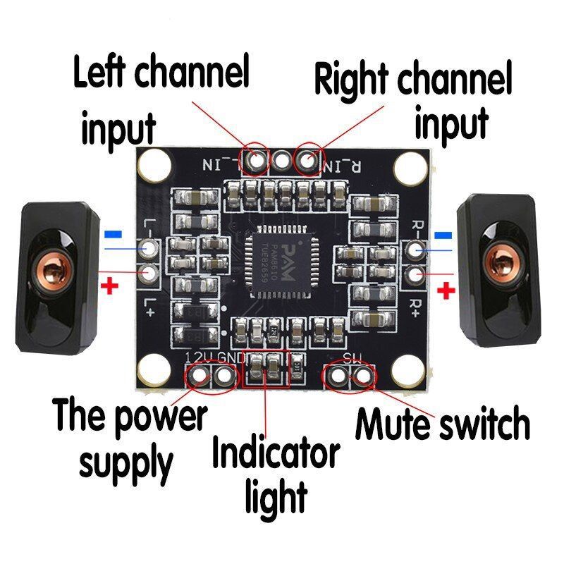 pam 8610 amplifier