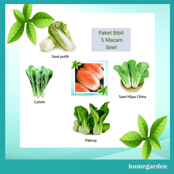 Paket 5 Jenis Sawi Paket Bibit Sawi Benih Sayuran Hidroponik Sayuran 30 hari Panen
