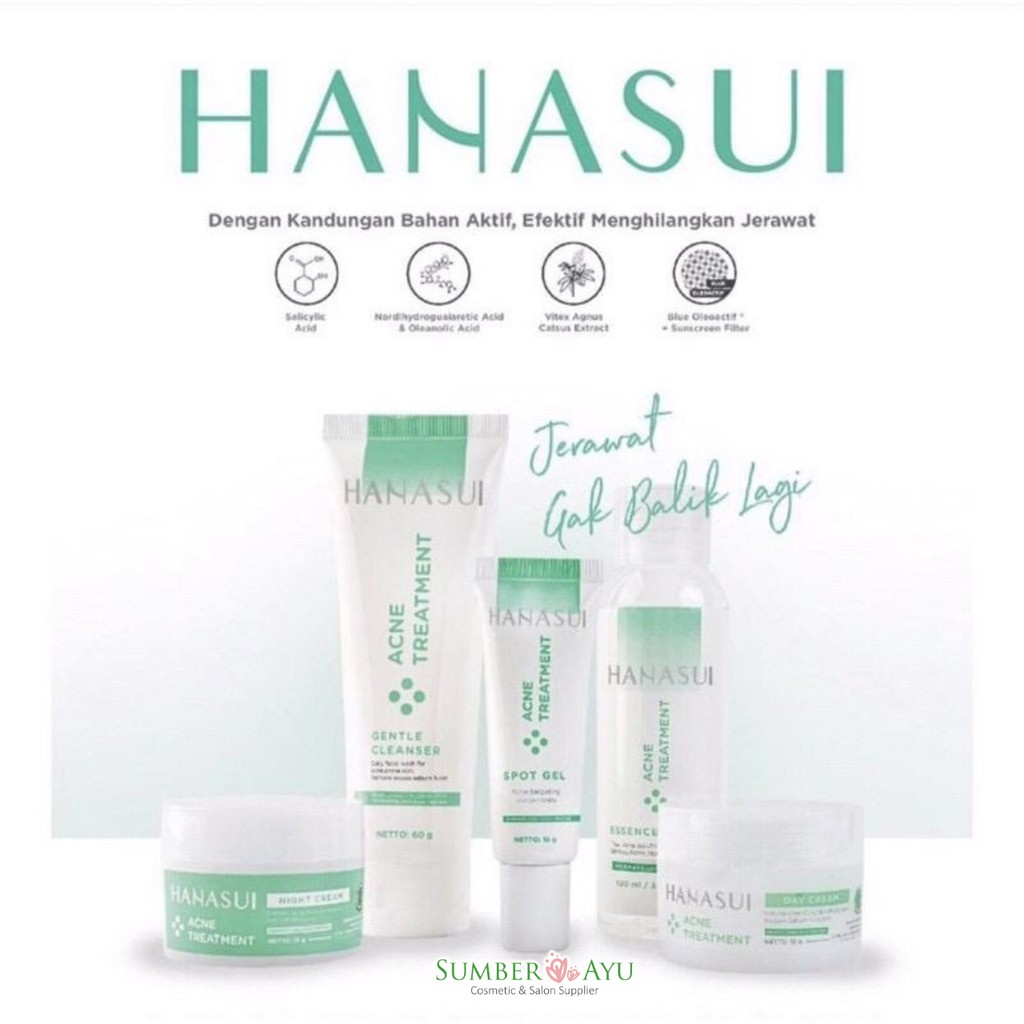 Hanasui Acne Treatment acne day cream//night cream//cleanser//spot care