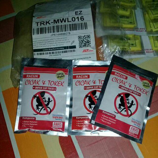 Racun Cicak & Tokek Sangat Ampuh Garansi Uang Kembali