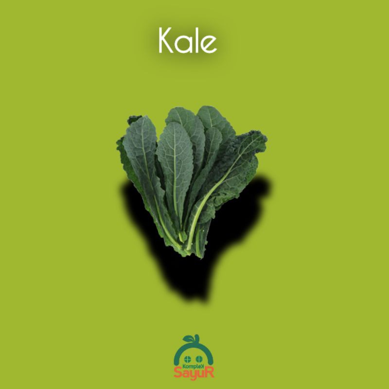 

Sayur Kale Toscano Organik Segar 500 Gram