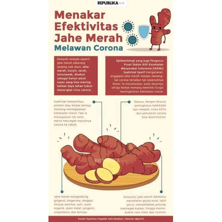 jahe merah ori Tampa pupuk kimia