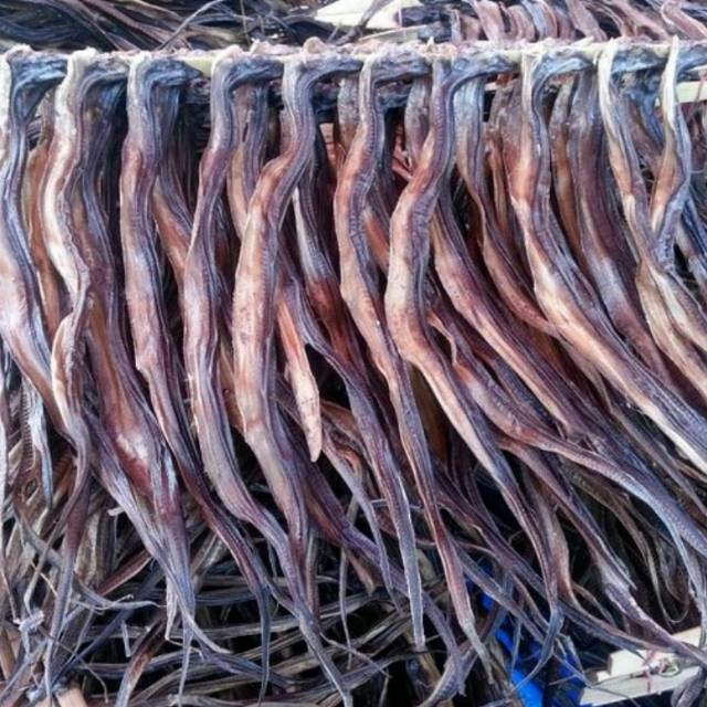 

Belut kering payakumbuh isi 25 ekor