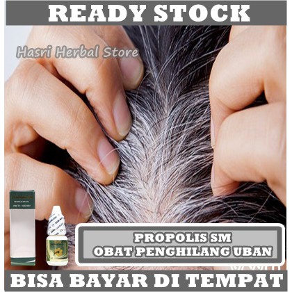 Obat Penghilang Uban Rambut, Obat Rambut Uban Di Usia Muda, Obat Rambut Uban Permanen, Obat Menghitamkan Rambut Uban, Obat Rambut Beruban, Obat Rambut Anti Uban, Obat Mengatasi Rambut Beruban Dengan Propolis SM