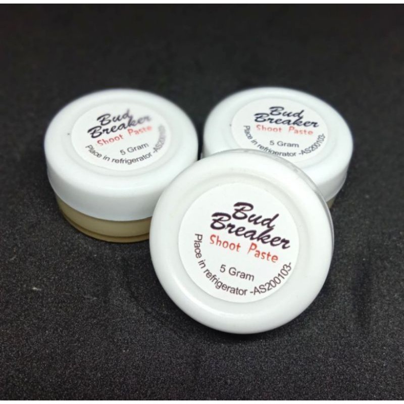 bud breaker penumbuh tunas anggrek 5gr