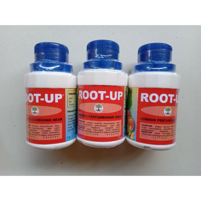 ROOT UP / Perangsang Akar