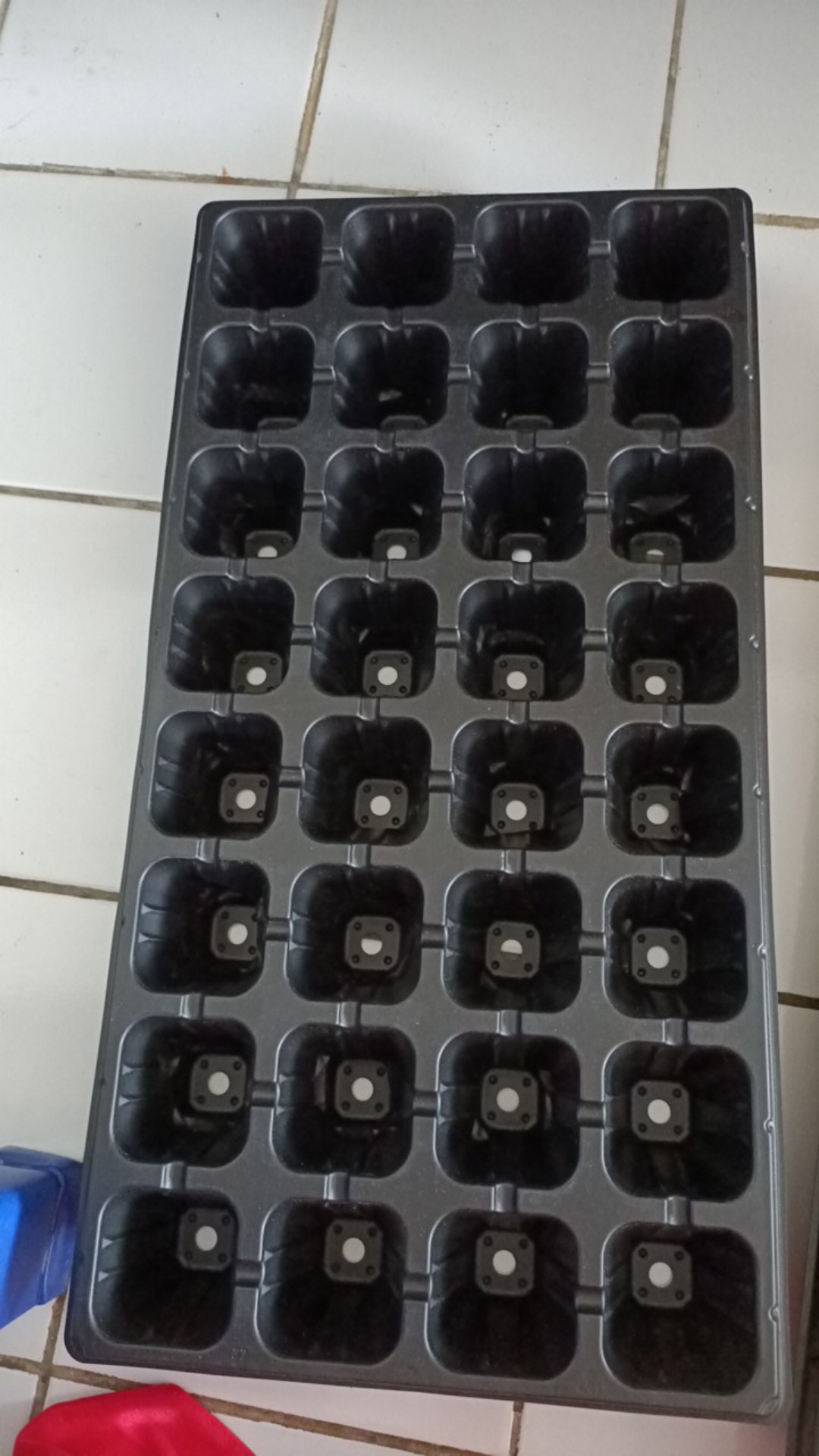 Tray Semai 32 Lubang