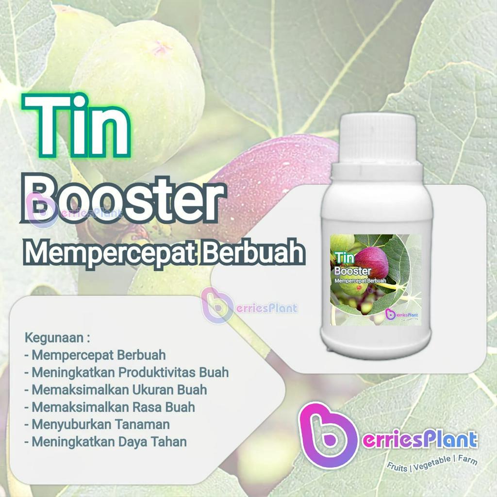 Booster Buah Tin SUPER | Mempercepat Berbuah | Perangsang Bunga  |  Perangsang Buah | Cepat Berbuah 