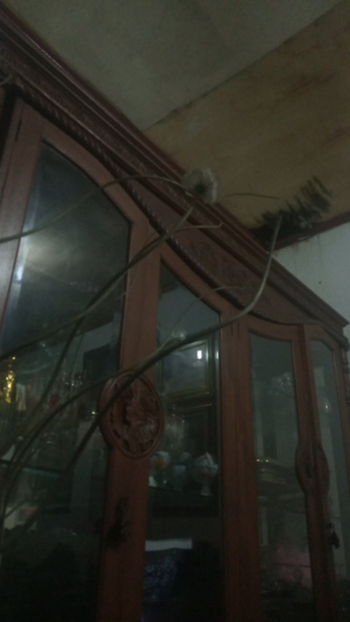 (1pc) Kuncian Sodok/buckle Plastik 2,5cm