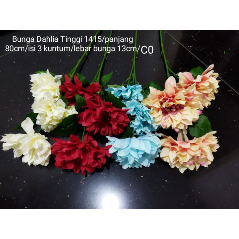 Bunga Dahlia Tinggi 1415