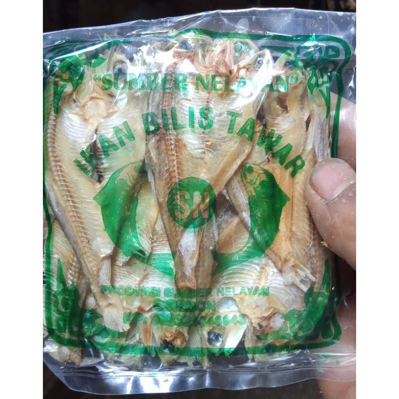 

bilis tawar